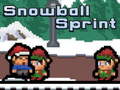 Oyunu Snowball Sprint