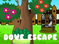 Oyunu Dove Escape