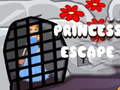 Oyunu princess escape