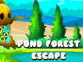 Oyunu Pond Forest Escape