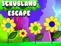 Oyunu Scrubland Escape