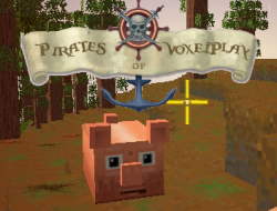 Voxelplay Korsanları 
