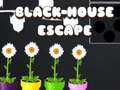 Oyunu Black House Escape