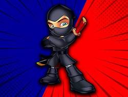 Ninja Rian Macerası 