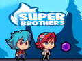 Oyunu Super Brothers