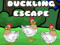 Oyunu Duckling Escape