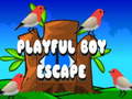 Oyunu Playful Boy Escape