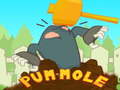 Oyunu Pum-Mole