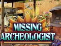 Oyunu Missing Archeologist