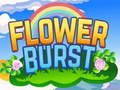 Oyunu Flower Burst