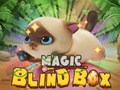 Oyunu Magic Blind Box