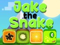 Oyunu Jake The Snake