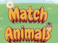 Oyunu Match Animals