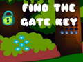Oyunu Find the Gate Key