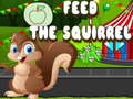 Oyunu Feed the squirrel