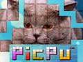 Oyunu PicPu Cat 