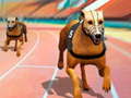 Oyunu Dogs3D Races