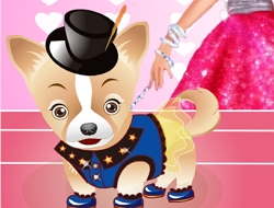 Barbie'nin Köpeğini Giydirme .