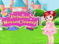 Oyunu Princess House Cleanup
