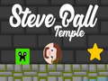 Oyunu Steve Ball Temple