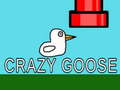 Oyunu Crazy Goose