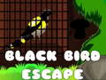 Oyunu Black Bird Escape