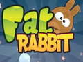 Oyunu Fat Rabbit
