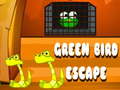 Oyunu Green Bird Escape
