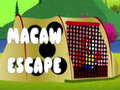 Oyunu Macaw Escape