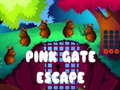 Oyunu Pink Gate Escape