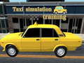 Oyunu Taxi simulation training