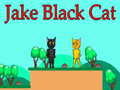 Oyunu Jake Black Cat