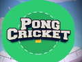 Oyunu Pong Cricket