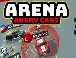 Arena Kızgın Arabalar 