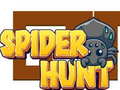 Oyunu Spider Hunt
