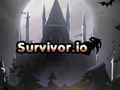 Oyunu Survivor.io