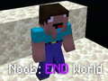 Oyunu Noob: End World