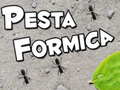 Oyunu Pesta Formica