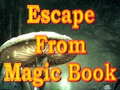 Oyunu Escape From Magic Book