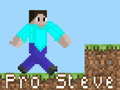 Oyunu Pro Steve