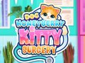Oyunu Doc HoneyBerry Kitty Surgery