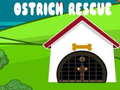 Oyunu Ostrich Rescue