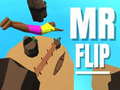 Oyunu Mr Flip