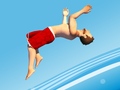 Oyunu Flip Divers