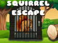 Oyunu Squirrel Escape