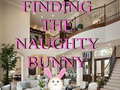 Oyunu Finding The Naughty Bunny