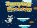 Oyunu Jumping Raccoon