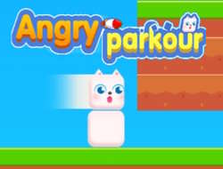 Kızgın parkur 