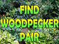 Oyunu Find Woodpecker Pair 