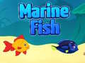 Oyunu Marine Fish